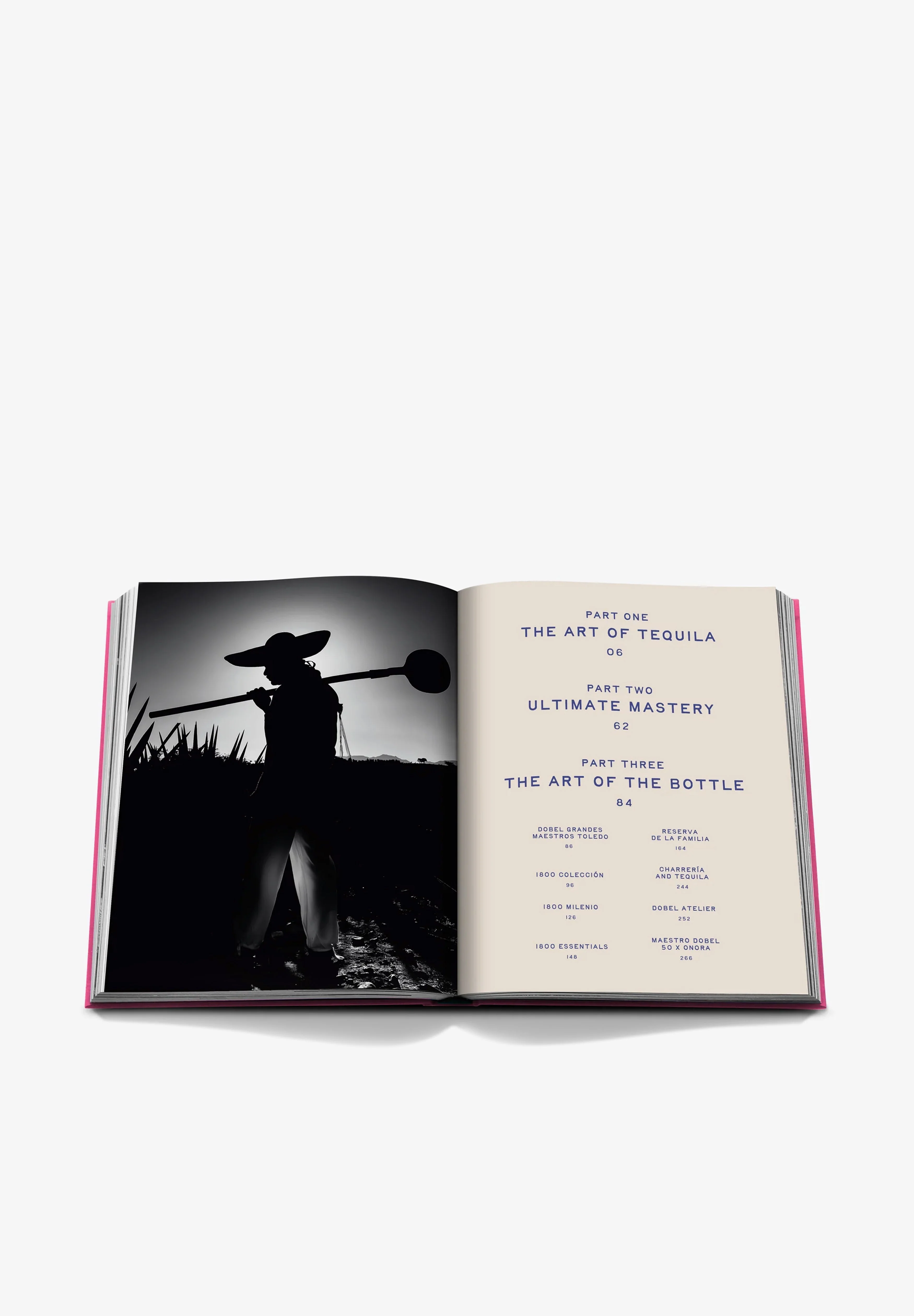 ASSOULINE | THE ART OF TEQUILA: SPIRIT OF MEXICO - Image 3