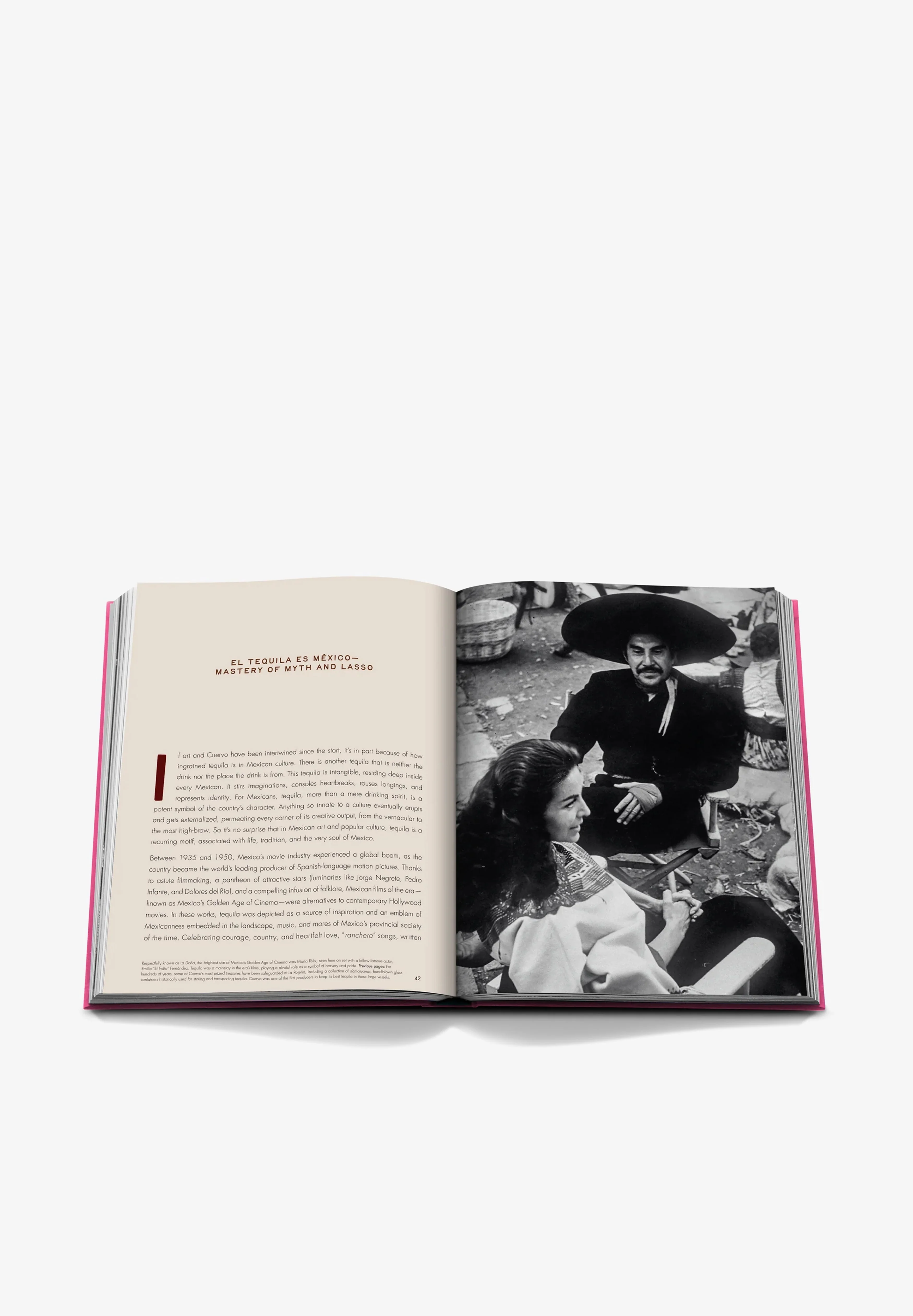 ASSOULINE | THE ART OF TEQUILA: SPIRIT OF MEXICO - Image 5